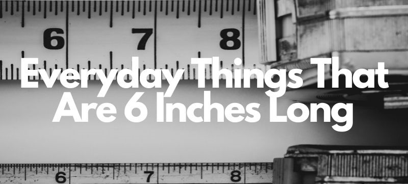 Everyday-Things-That-Are-6-Inches-Long